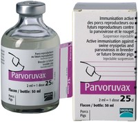 Parvoruvax Парворувакс вакцина
