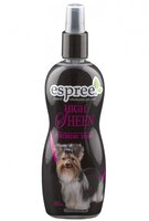 High Sheen Finishing Spray