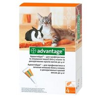 Адвантейдж 40 для котів (від 4кг)