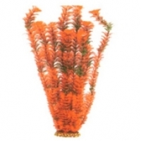 Растение аквариумное Aquatic Plants 55 см