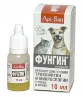 Api-San Фунгин