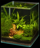 Аквариум Dennerle Nano Cube