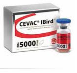 СЕВАК® IBIRD