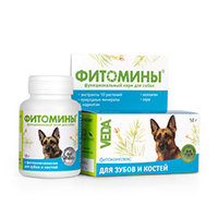 Фитомины для зубов и костей