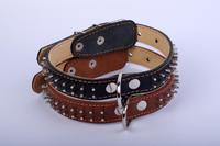 Ошейник Collar двойной с шипами в 2 ряда