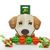BAXTER TOYS B4