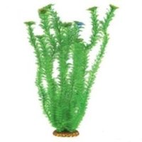 Аквариумное растение Aquatic Plants №5573, 55см.