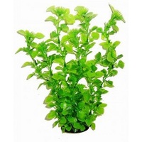 Agvatic Plants РАСТЕНИЕ 34см 3451 (6шт)