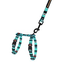 Шлея с Поводком для Котов и Мелких Собак BronzeDog Urban Инки