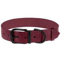 Нашийник для Собак Шкіряний BronzeDog Classic з Металевою Фурнітурою Бордовий