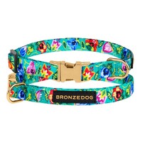 Нашийник для Котів Bronzedog Urban Folk Нейлоновий c Металевою пряжкою Ментоловий