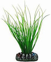Aquatic Plants Аквариумное растение 13 см, 1374