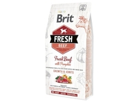 Brit Fresh Beef with Pumpkin Puppy для цуценят великих порід з яловичиною та гарбузом 2.5 кг